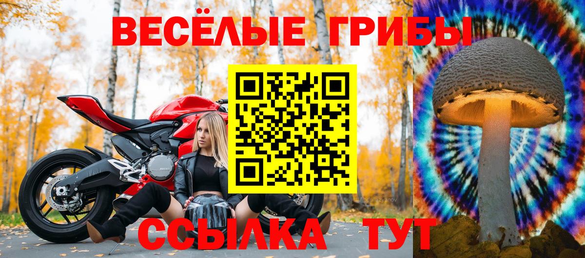 Галлюциногенные грибы Cubensis  Вход с VPN  цены   Коломна 